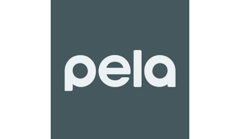 Pelacase (UK)
